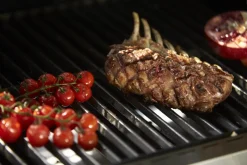 Brico Gasbarbecue-Rosle Gasbarbecue Videro G4-Sl 30Mbar 154X60X118Cm