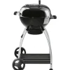Brico Houtskool Barbecue-Rosle Houtskoolbarbecue No. 1 Sport F50 68X68X99Cm