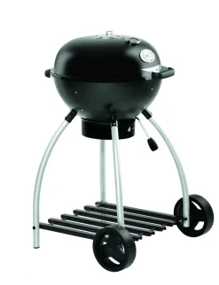 Brico Houtskool Barbecue-Rosle Houtskoolbarbecue No. 1 Sport F50 68X68X99Cm