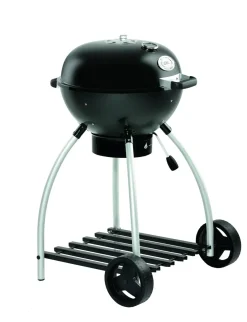 Brico Houtskool Barbecue-Rosle Houtskoolbarbecue No. 1 Sport F50 68X68X99Cm