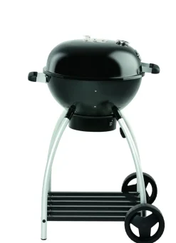 Brico Houtskool Barbecue-Rosle Houtskoolbarbecue No. 1 Sport F50 + Beschermhoes 69,5X67X99Cm