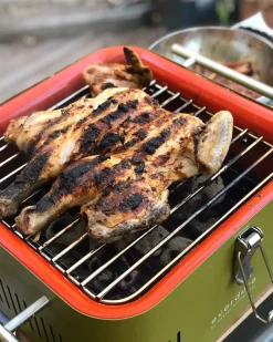 Brico Houtskool Barbecue-Rosle Houtskoolbarbecue No. 1 Belly F50 66,5X73,5X106Cm