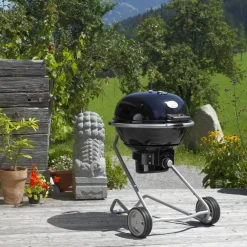 Brico Houtskool Barbecue-Rosle Houtskoolbarbecue No. 1 F60 Air 75X83X115Cm
