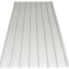 Scala Plastics Profielplaat Gelakt Zink|Brico Discount