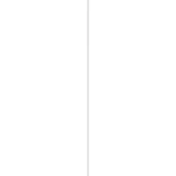 Schaaflat Grenen Gegrond Wit 9,5X28Mm 270Cm|Brico Discount