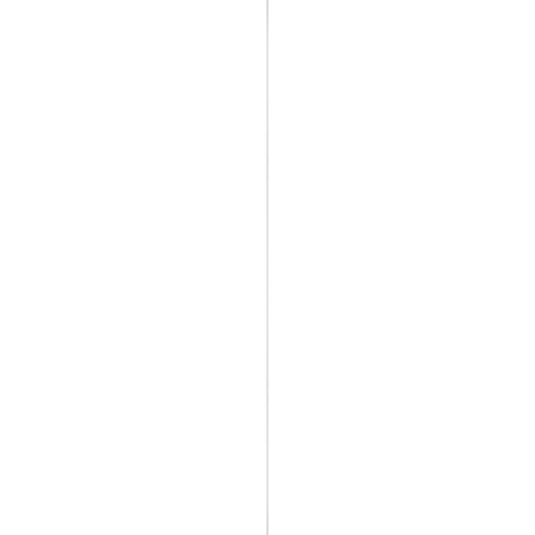 Schaaflat Grenen Gegrond Wit 9,5X145Mm 270Cm|Brico