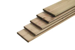 Schuttingplank Geimpregneerd 240X14X1,6Xcm|Brico Online