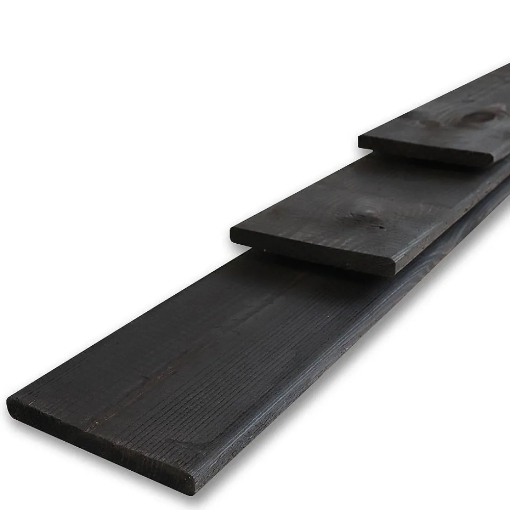 Schuttingplank Zwart 1,6X14X180Cm|Brico Clearance