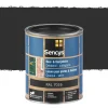 Brico Beits-Sencys Beits Ramen En Deuren Dekkend Zijdeglans Ral7016 0,75L
