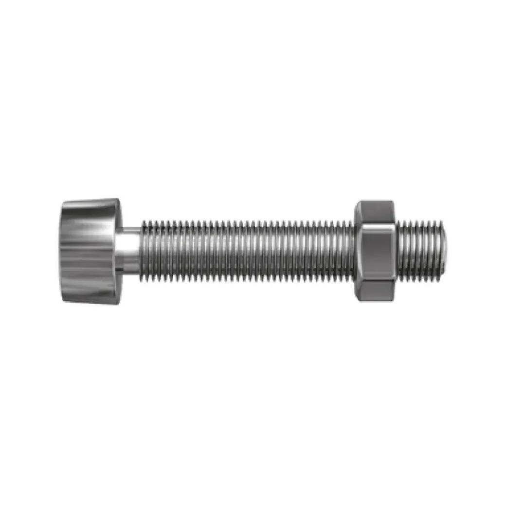 Brico Bouten-Sencys Cilinderkop Bout Gegalvaniseerd Staal M5 X 40 Mm - 10 Stuks