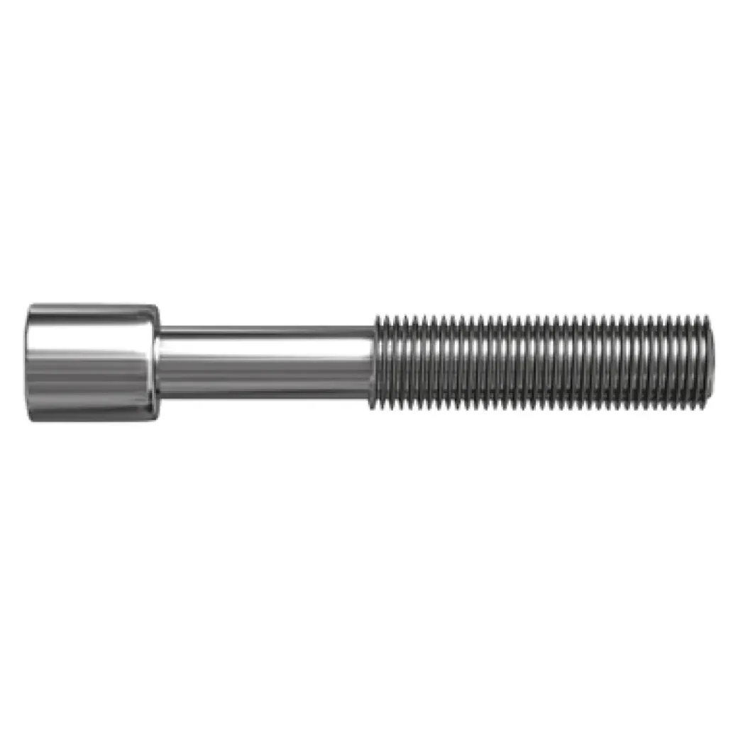Brico Bouten-Sencys Inbusbout Gegalvaniseerd Staal M4 X 12 Mm - 20 Stuks