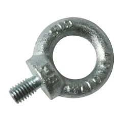 Brico Moeren-Sencys Ringbout Gegalvaniseerd M8 20Mm 1 Stuk