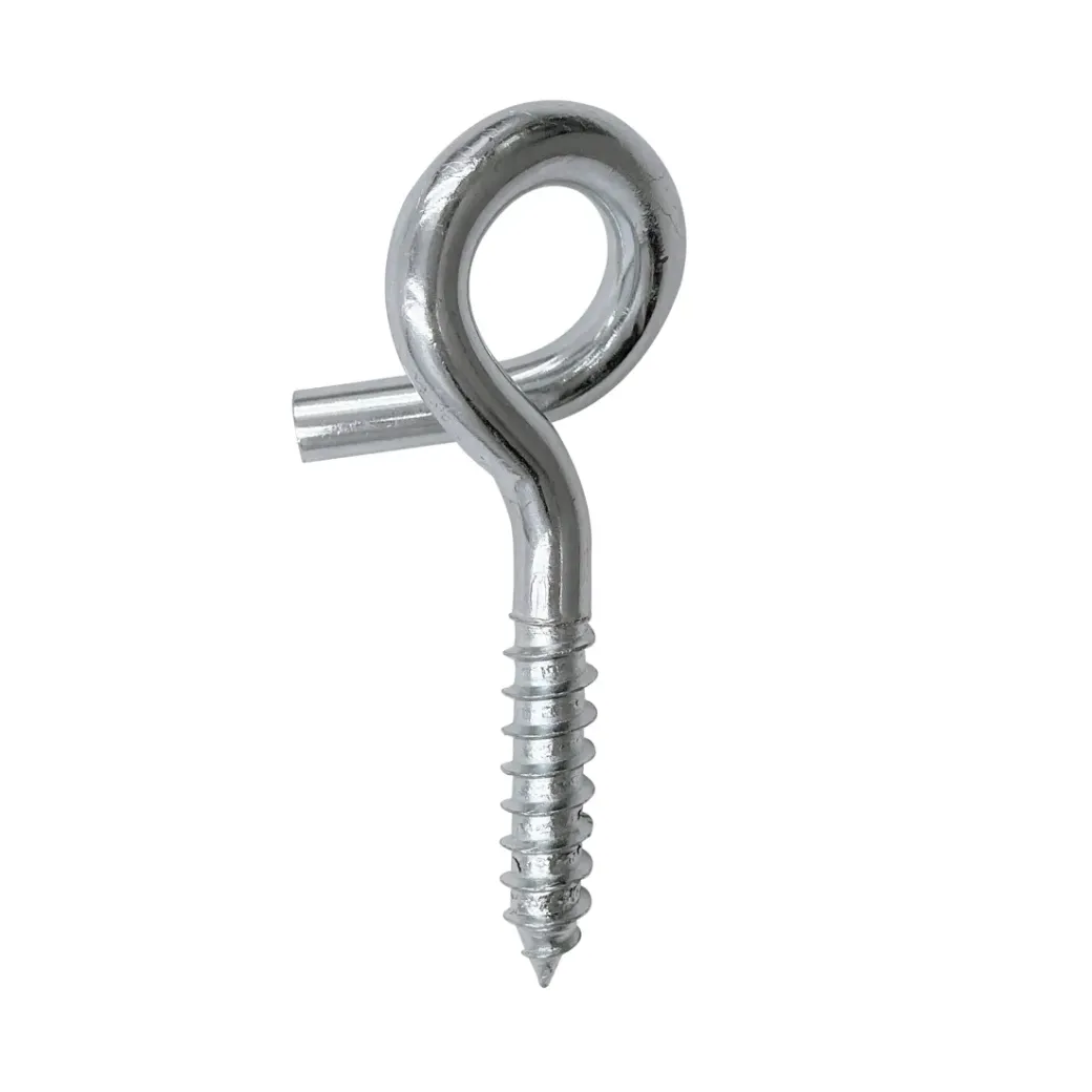 Brico Ringen-Sencys Schroefoog Gegalvaniseerd M10 60Mm