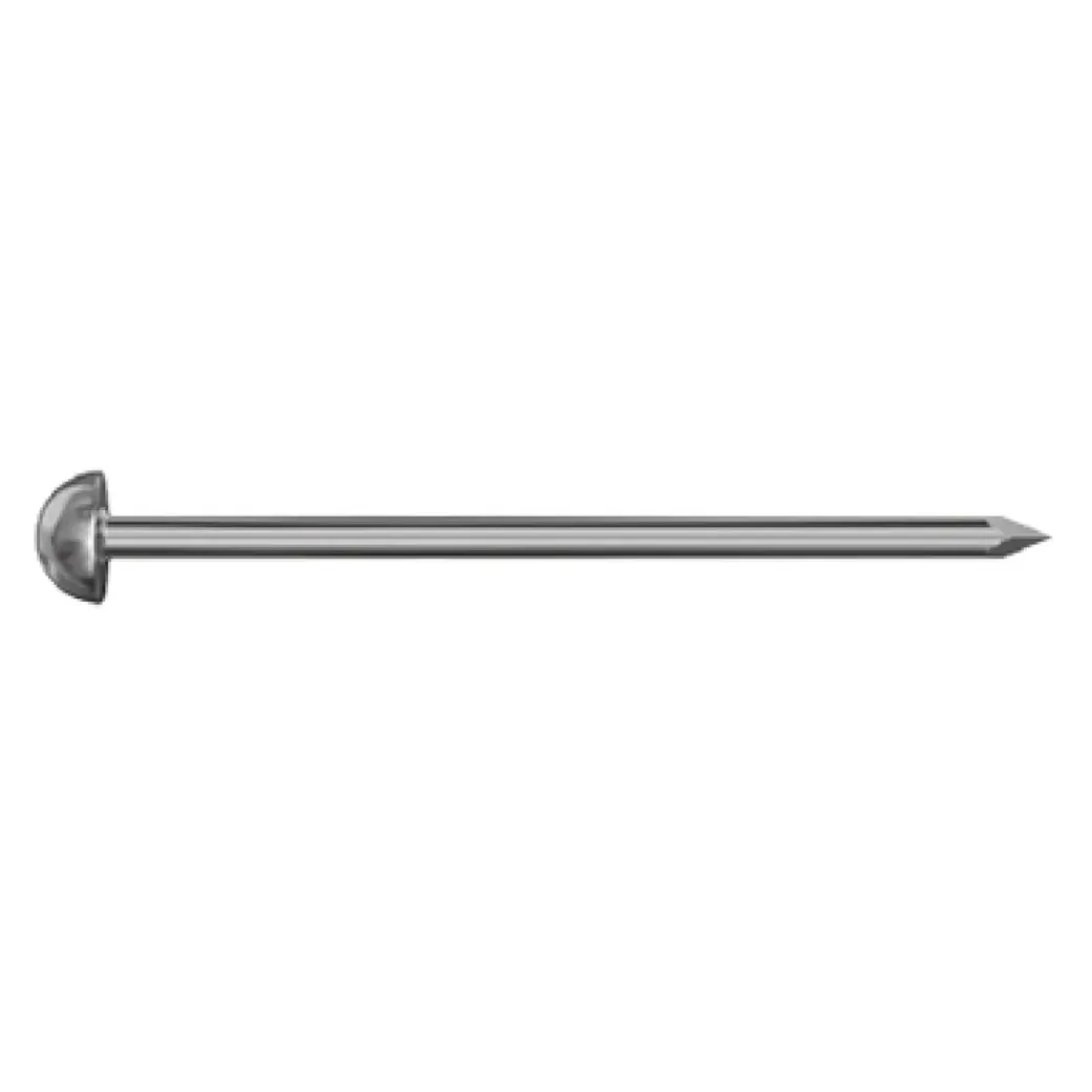 Brico Nagels-Sencys Spijker Met Ronde Kop Gehard Staal 40 X 2 Mm - 200 Stuks