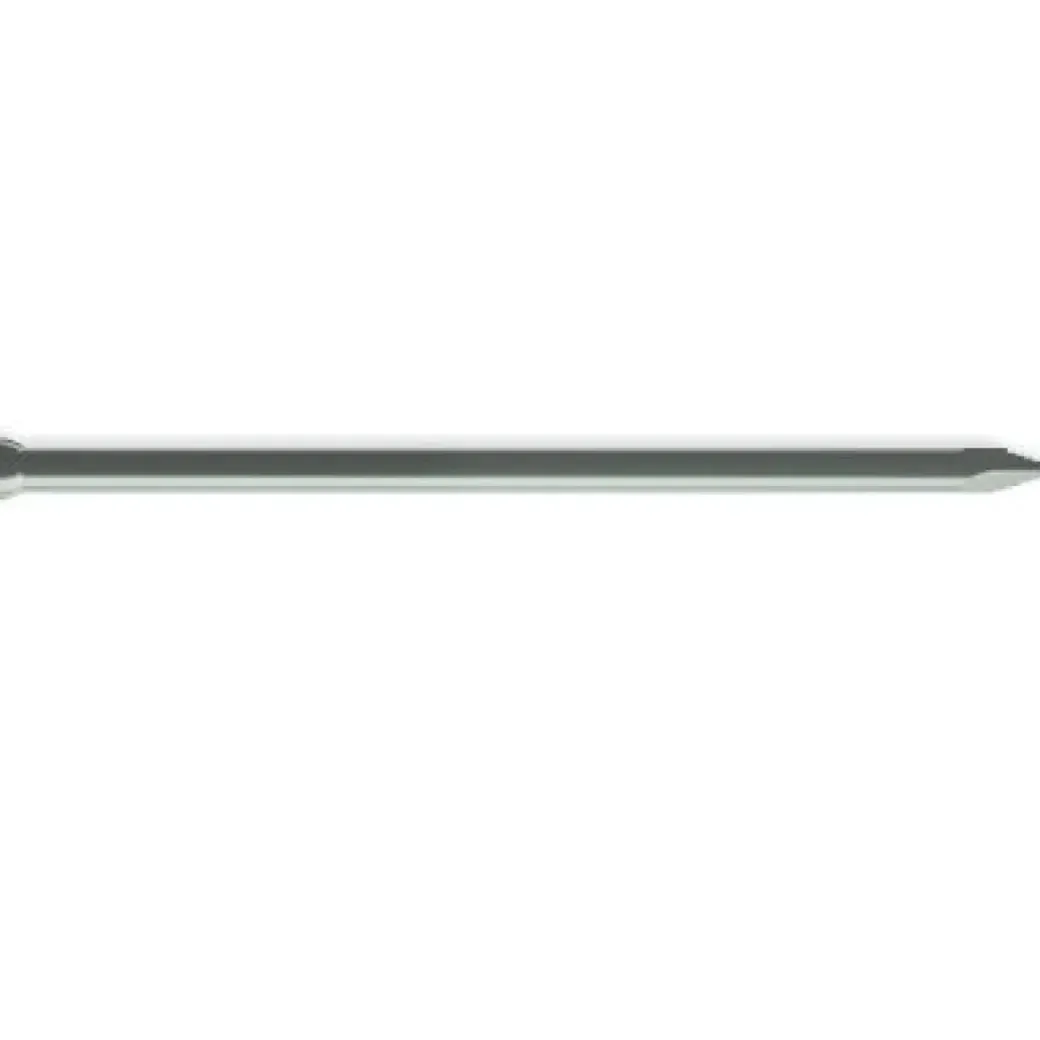 Brico Nagels-Sencys Spijker Met Verloren Kop Gegalvaniseerd Staal 30 X 1,6 Mm - 400 Stuks