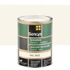 Brico Beits-Sencys Tuinhoutbeits Dekkend Zijdeglans Ral9001 2,5L