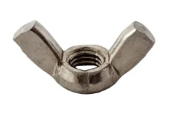 Brico Moeren-Sencys Vleugelmoer Rvs M10 5St