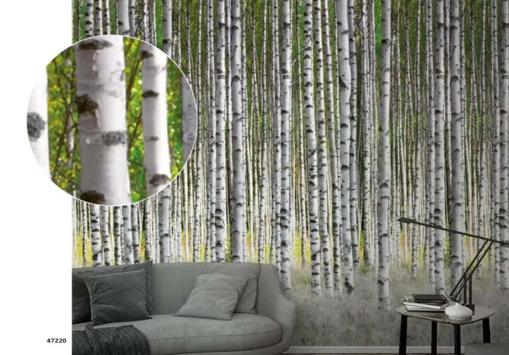 Brico Fotobehang-Smart Art Fotobehang Berkenbos