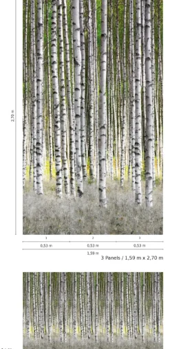 Brico Fotobehang-Smart Art Fotobehang Berkenbos