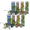 Brico Planten-Smoothie Mix - Mix Van 8 - Goji,Cranberry,Bes, Kiwi - Pot 9Cm - Hoogte 25-40Cm