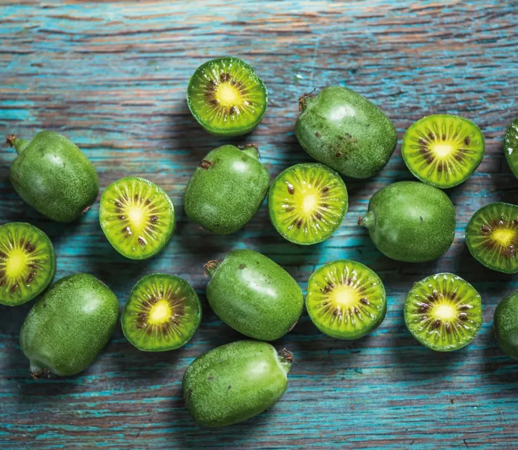 Brico Planten-Smoothie Mix - Mix Van 8 - Goji,Cranberry,Bes, Kiwi - Pot 9Cm - Hoogte 25-40Cm