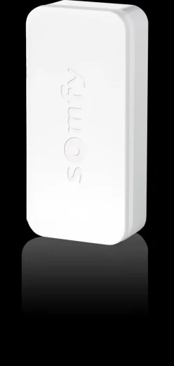 Brico Alarmsystemen-Somfy Deur- En Raamsensor Intellitag Wifi 200M