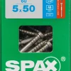 Brico Tuinbeslag & Terrasschroeven-Spax Terrasschroef A2 Inox 50X5Mm 60 St