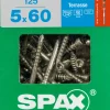Brico Tuinbeslag & Terrasschroeven-Spax Terrasschroef A2 Rvs 60X5Mm 125St