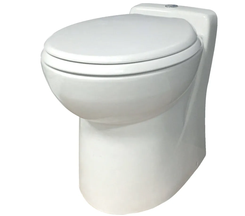 Toilet Met Vermaler Watersan 550 Wit|Brico Hot