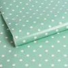 Transform Zelfklevende Decoratiefolie Dotty Mint 45X200Cm|Brico New