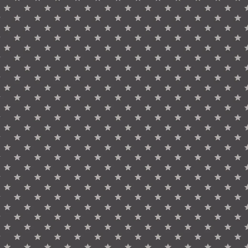 Transform Zelfklevende Decoratiefolie Stars Grijs 45X200Cm|Brico Hot