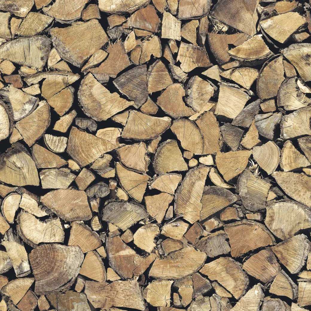 Transform Zelfklevende Decoratiefolie Tree Trunk 45X200Cm|Brico New