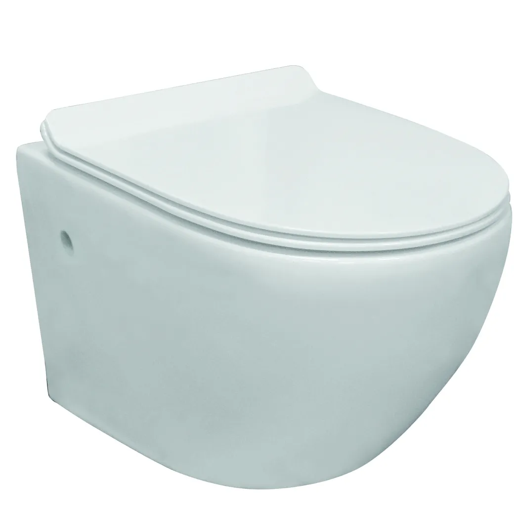 Van Marcke Go Hangtoilet Randloos + Softclose En Take-Off Toiletzitting Wit 500X360X370Mm|Brico Online