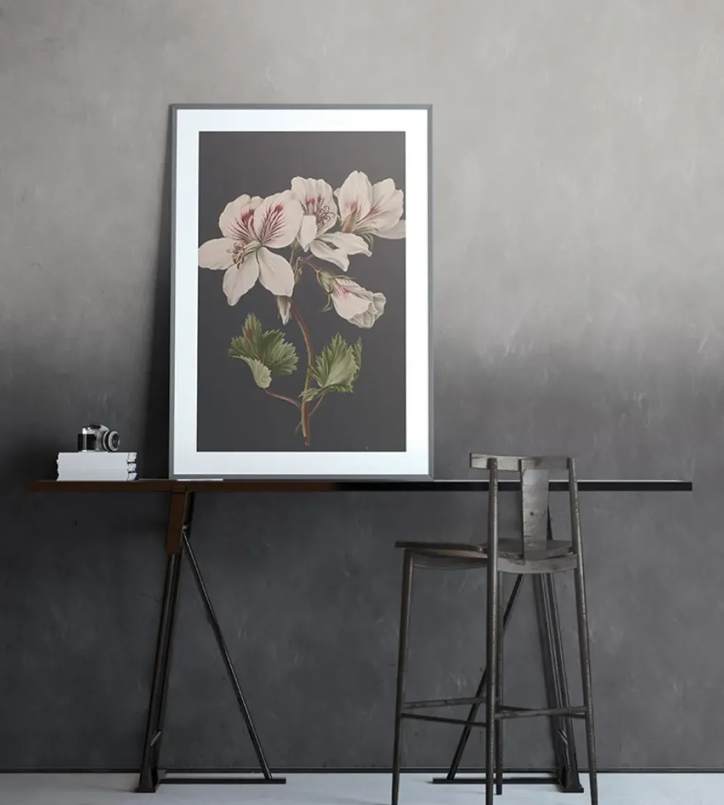 Brico Fotobehang-Vanilla Lime Fotobehang 14268