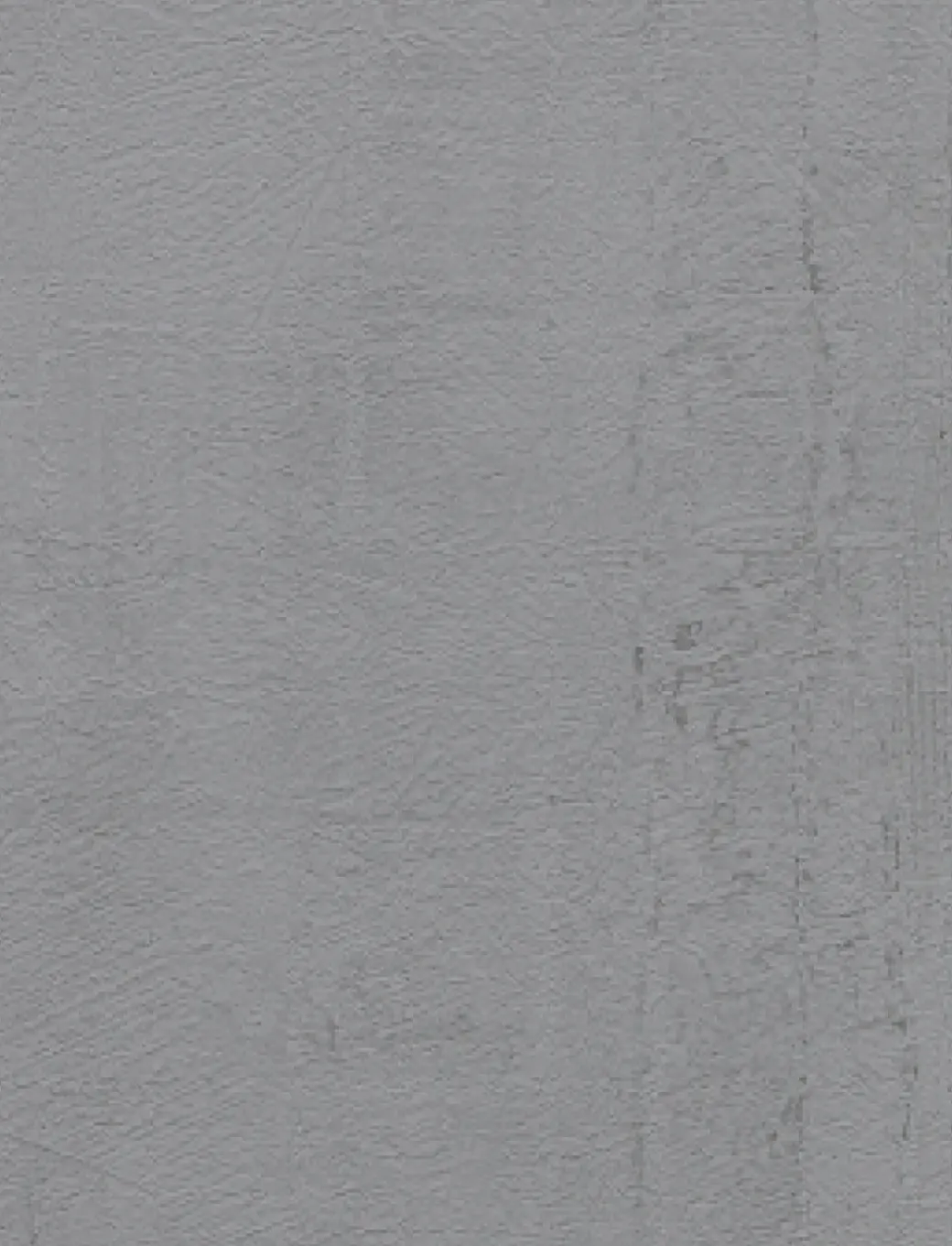 Brico Vinylbehang-Vinylbehang 'Roma' Donkergrijs 53 Cm X 10 M