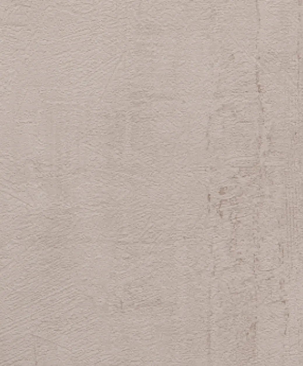 Brico Vinylbehang-Vinylpapier Roma Taupe Vob008075
