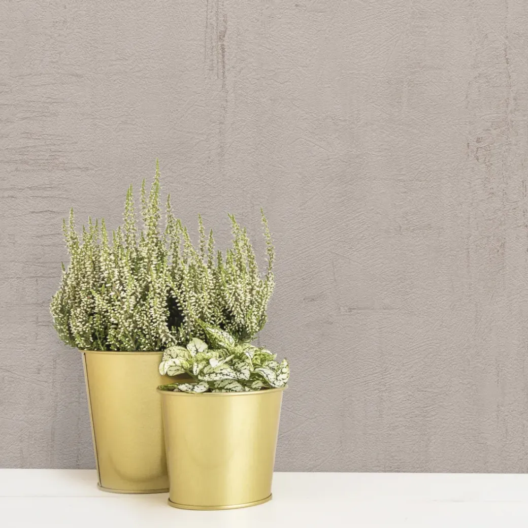 Brico Vinylbehang-Vinylpapier Roma Taupe Vob008075