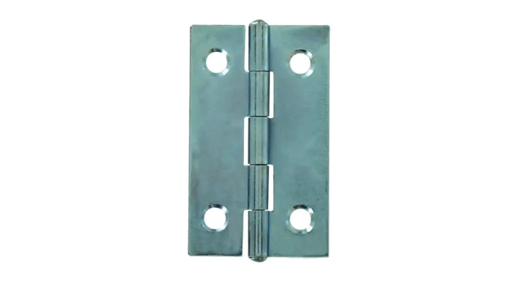 Brico Deurscharnieren-Vynex Bouwscharnier Verzinkt Staal 40X25Mm