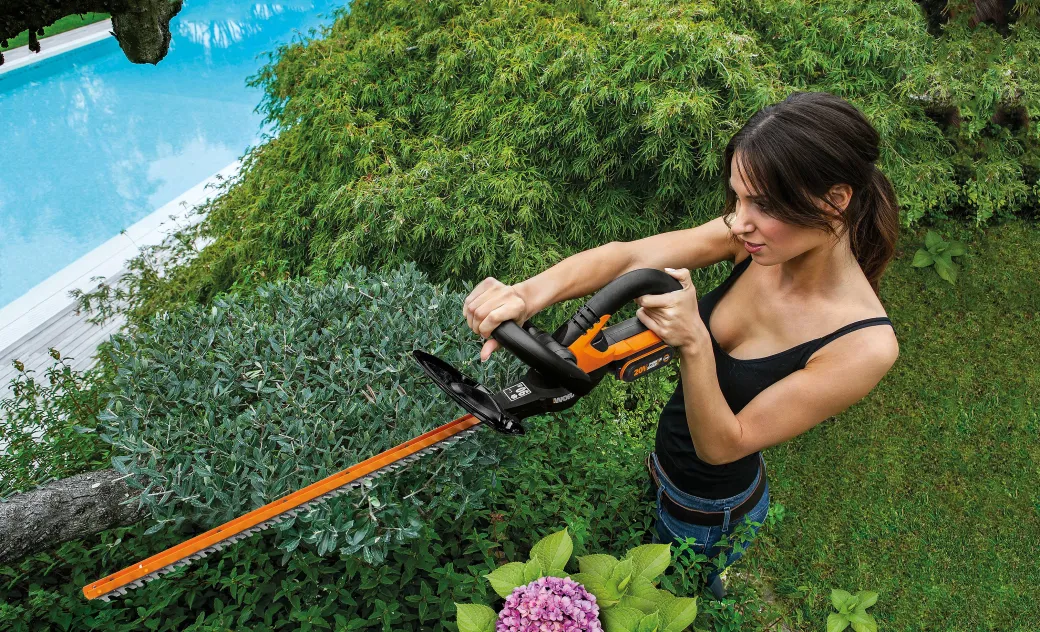 Worx Accu Heggenschaar Wg260E.9 20V (Zonder Accu)|Brico Online